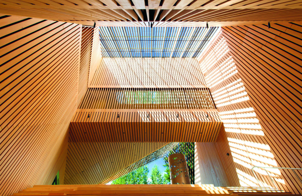 浅色木质镶板的两层入口的室内景观，阳光透过。