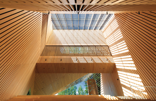 auain艺术博物馆阳光明媚的室内景观，展示了梯形镶板预制木材中庭，其中有层压绞线木材(LSL)和平行绞线木材(PSL)，提供了强调和结构