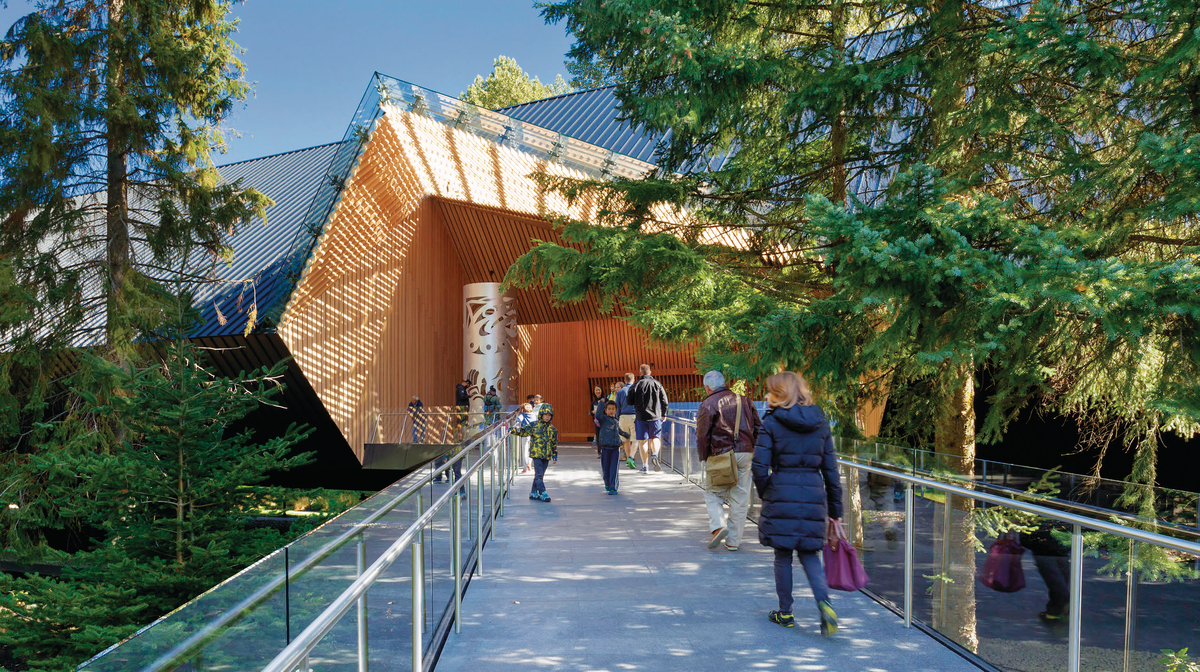 auain艺术博物馆的阳光外景展示了梯形镶板预制木屋顶，使用层压钢绞线木材(LSL)和平行钢绞线木材(PSL)提供护套和结构