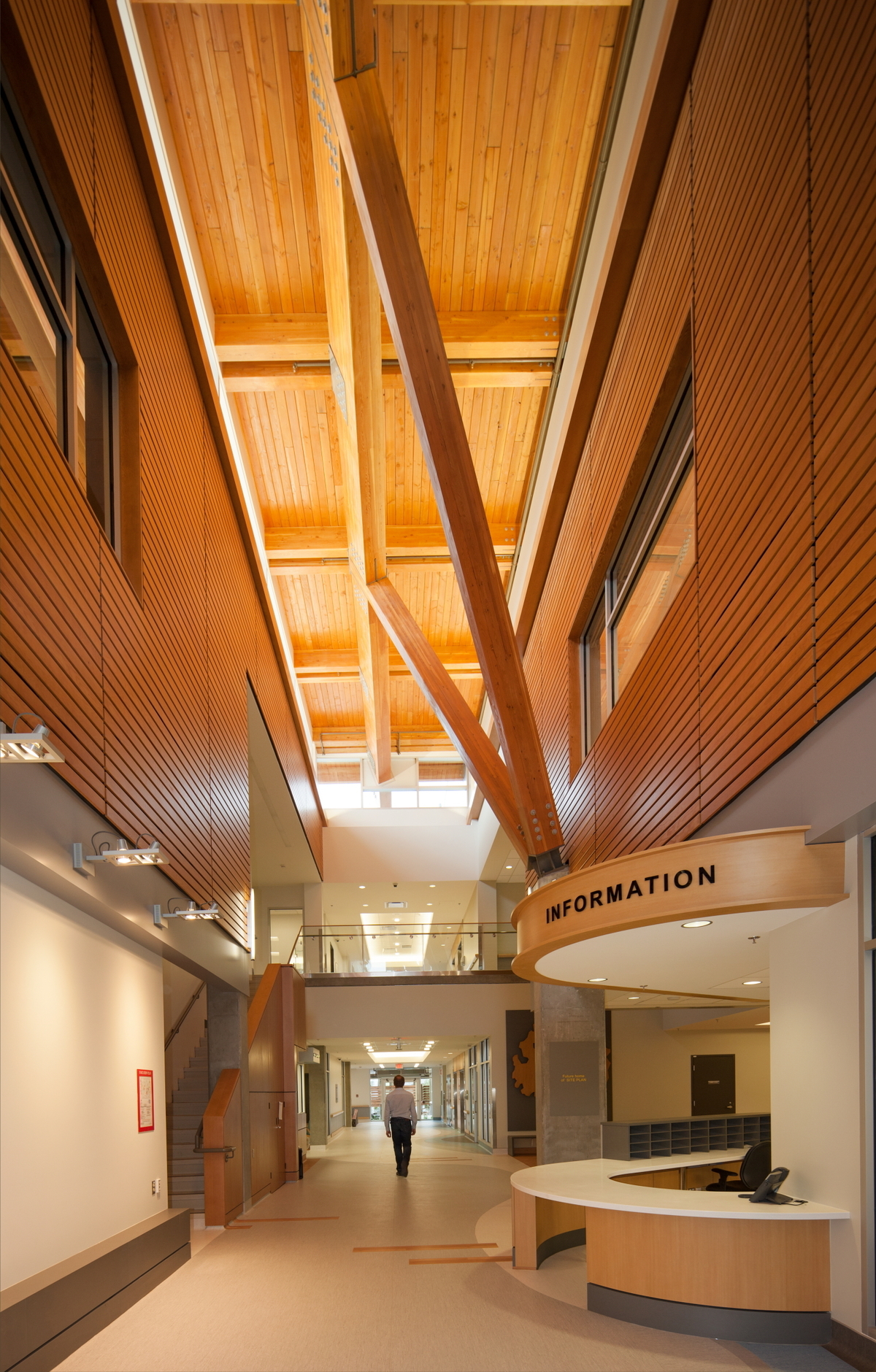 北部BC癌症机构中心低层建筑的室内日间向上视图，天花板采用胶合木、实锯重木、木镶板和木材装饰