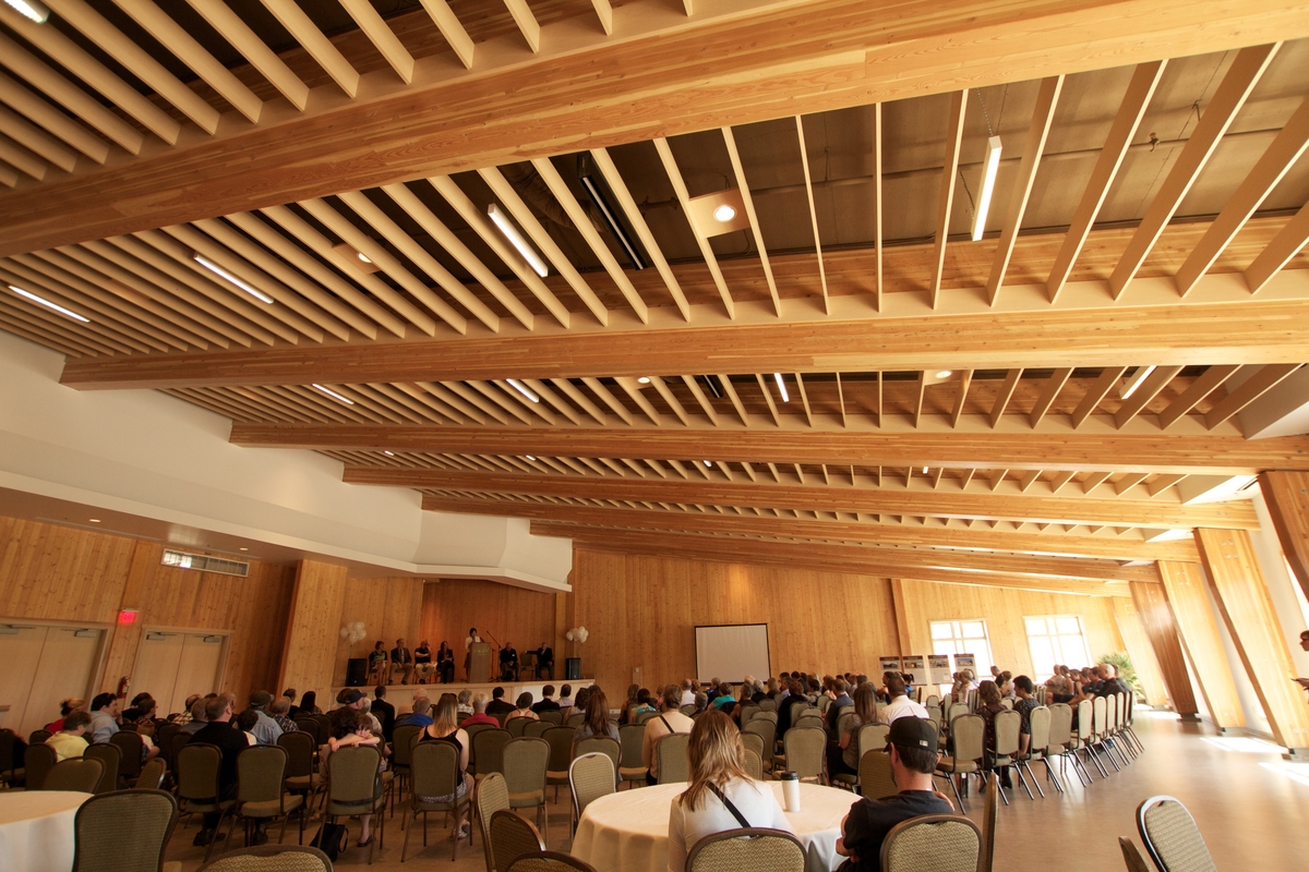 在埃尔克福德社区会议中心，白天可以看到许多坐着参加会议的人，其结构元素是胶合木(胶合木)和层压单板木材(LVL)梁，以及交叉层压木材(CLT)，提供了墙壁和天花板/屋顶结构