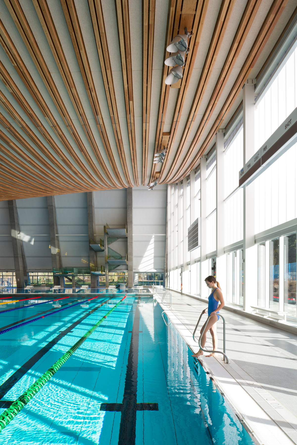 室内白天的美景高地水上运动中心长游泳圈区域显示游泳者即将进入水下面胶合板电缆预制屋顶组件
