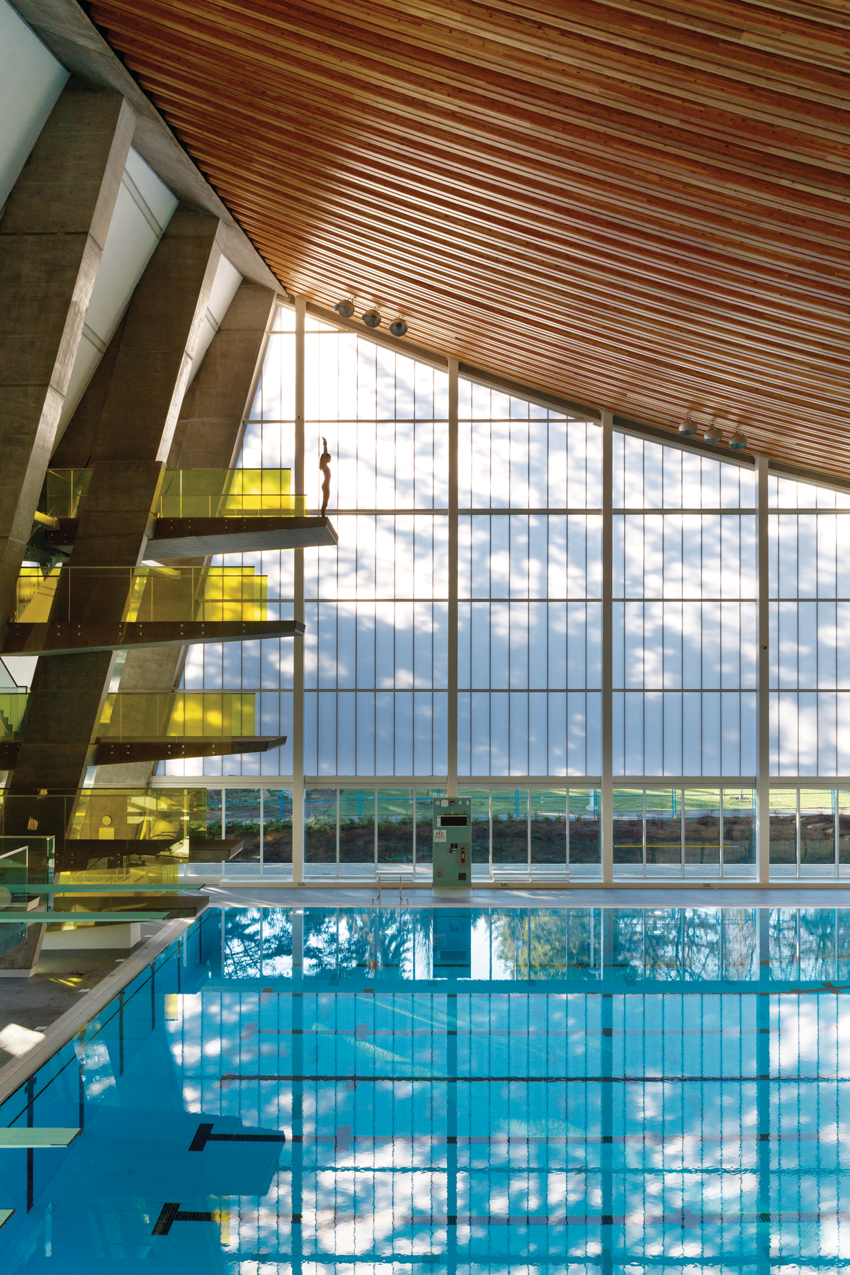 Grandview Heights水上中心的日间室内景观，显示由混凝土柱支撑的弧形胶合木(胶合木)天花板，背景为整面玻璃墙，前景为10米平台上的潜水员