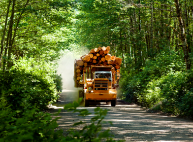 白天阳光明媚的景色接近满载伐木卡车在碎石路之间的树