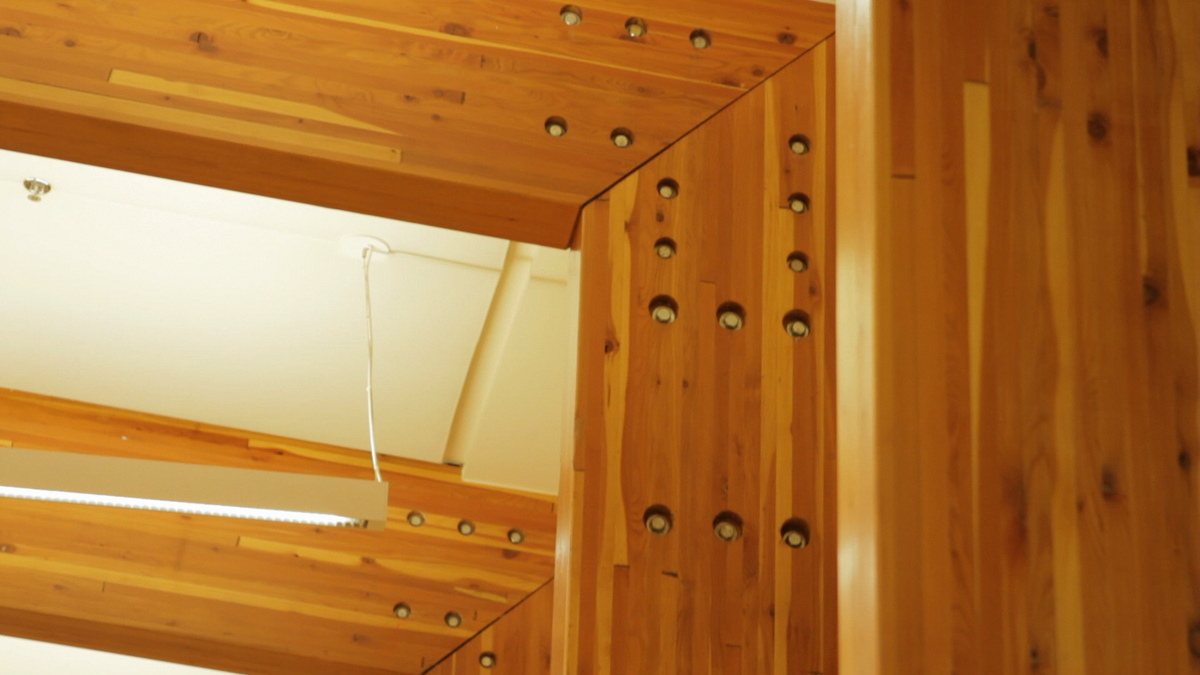 大卫王高中多用途避难所的室内白天特写视图，展示了暴露的胶合木材(胶合木)梁和柱的钢和木接头