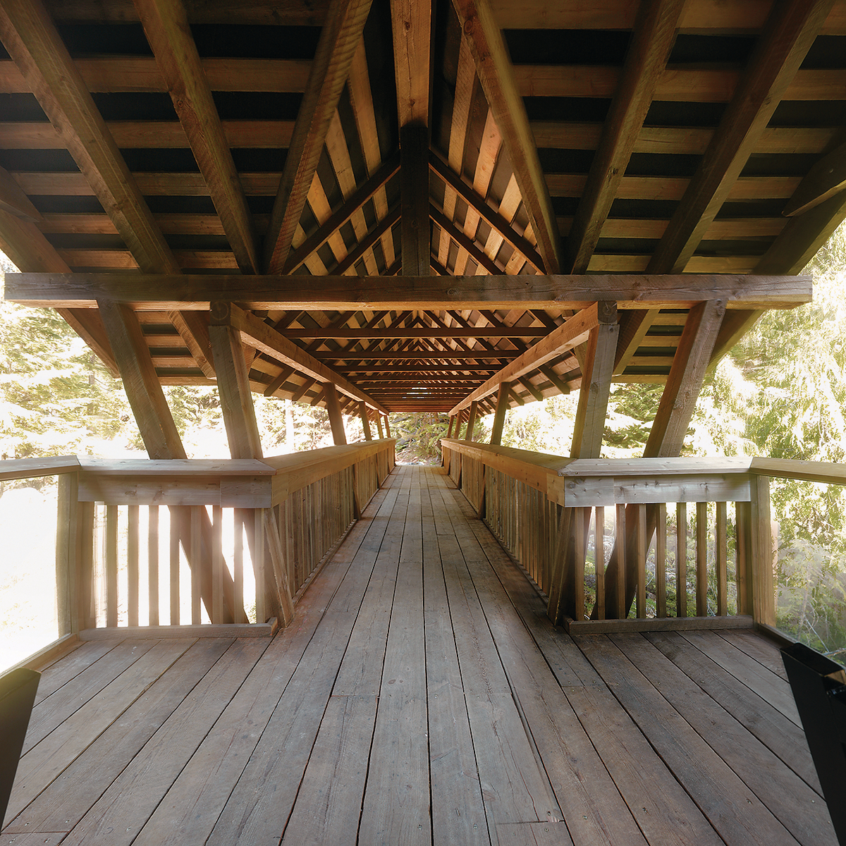 Kuskanax河人行桥的日间中间跨度视图，显示木制栏杆，栏杆，和由胶合层压木材(胶合木)，木材和实锯重木材建造的屋顶结构