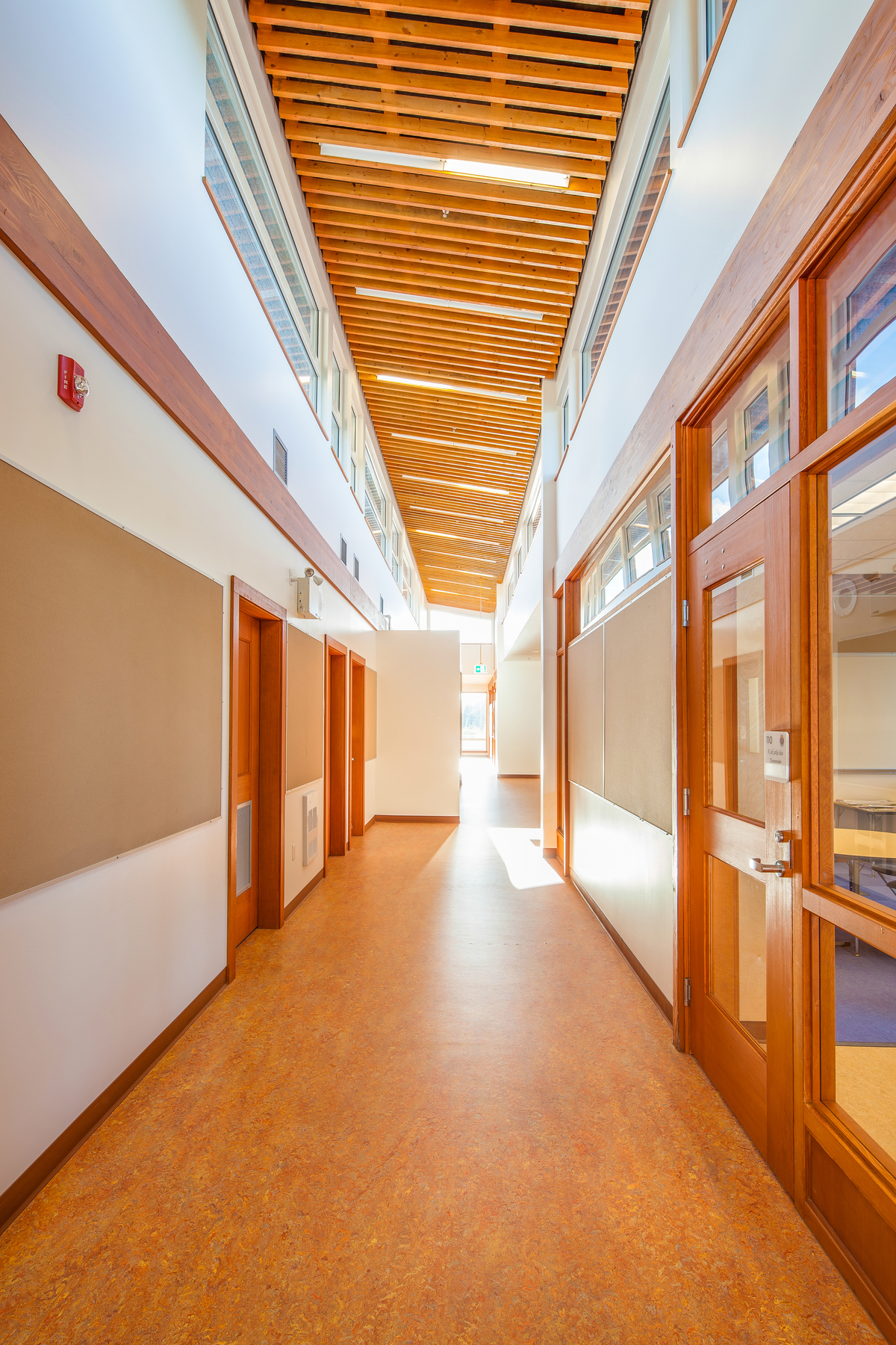 Kwakiutl Wagalus学校阳光明媚的白天室内景观，明亮的阳光充足的主走廊展示了广泛使用的木材，包括柱、梁和包层的西方红雪松，门和窗户的道格拉斯冷杉，桦木贴面饰面和木地板