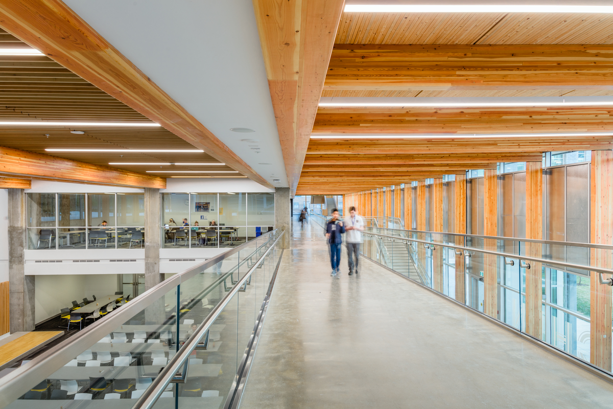 钉层压木材(NLT)和装饰木材装饰，如UBC校园，Orchard Commons建筑的特色。