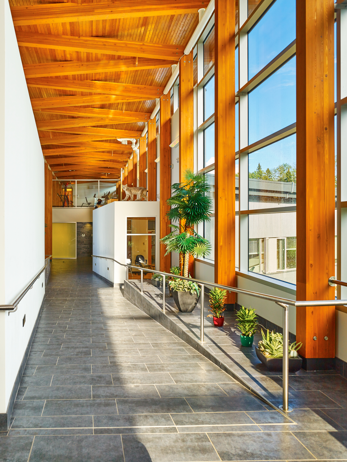 明亮的Prophet River Multiplex白天的室内图像显示向下的瓷砖走道，胶合木(胶合木)柱，梁，和木质天花板甲板
