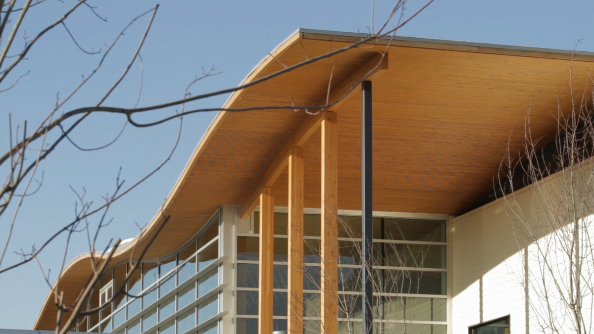 Samuel Brighouse小学阳光明媚的室外景观，突出了由柱子+梁柱支撑的波浪形钉层压木材(NLT)屋顶