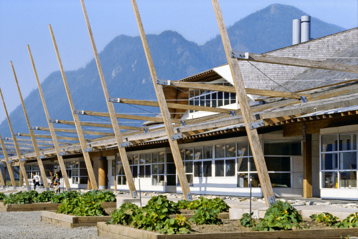 低层建筑海鸟岛社区学校的阳光外部地面视图显示了木材、胶合板、墙板、实锯重木材和柱+梁结构的广泛使用