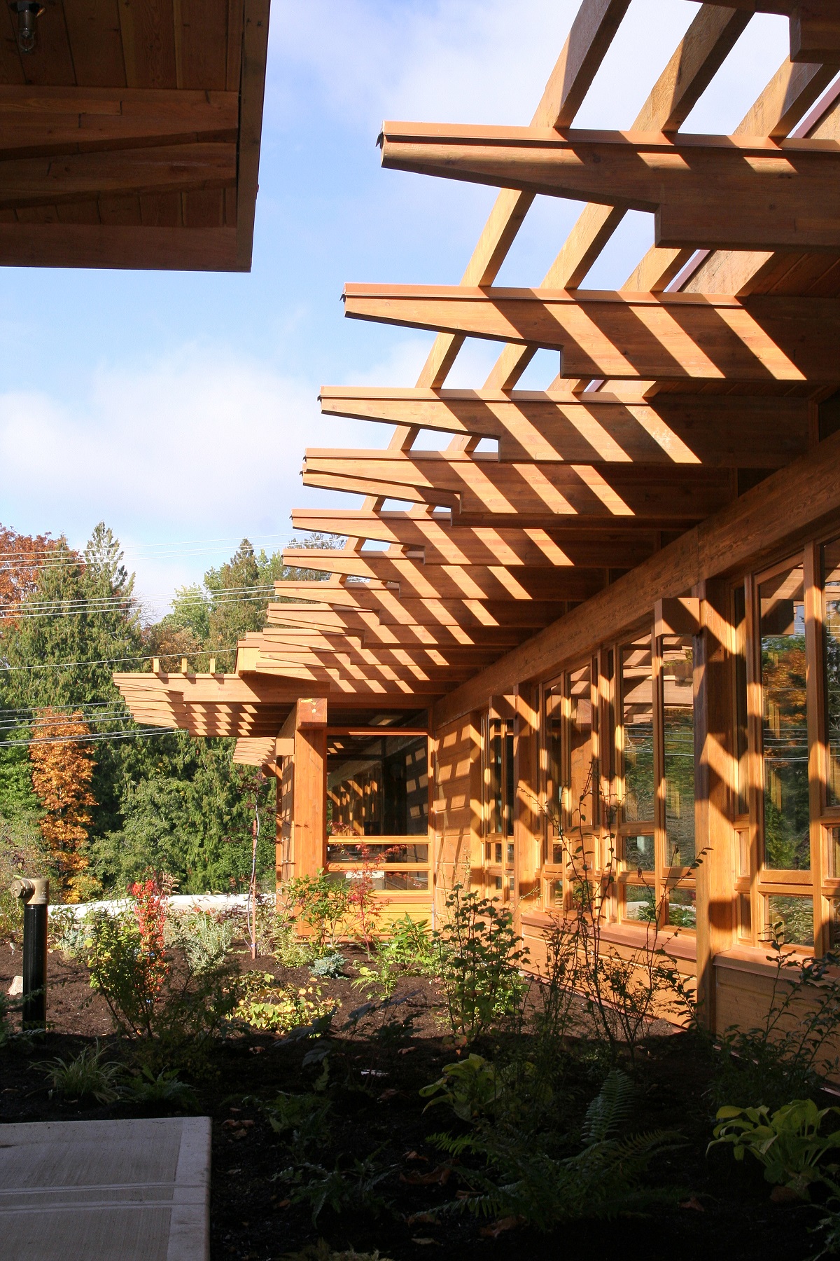 胶合层压木材(胶合木)、木制品、镶板和壁板都展示在Tseshaht部落综合体和健康中心的阳光外部图像中，突出了窗户装饰、屋顶桁架、屋檐等大量使用的外部木材