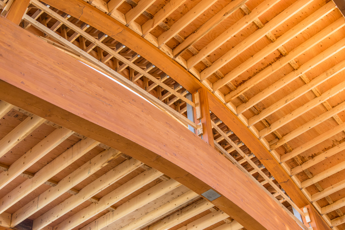 白天室内近距离的观点Tsleil Waututh管理和卫生中心屋顶细木工显示它主要拱形胶水层积木材(胶合)bean支持木trusswork和椽子