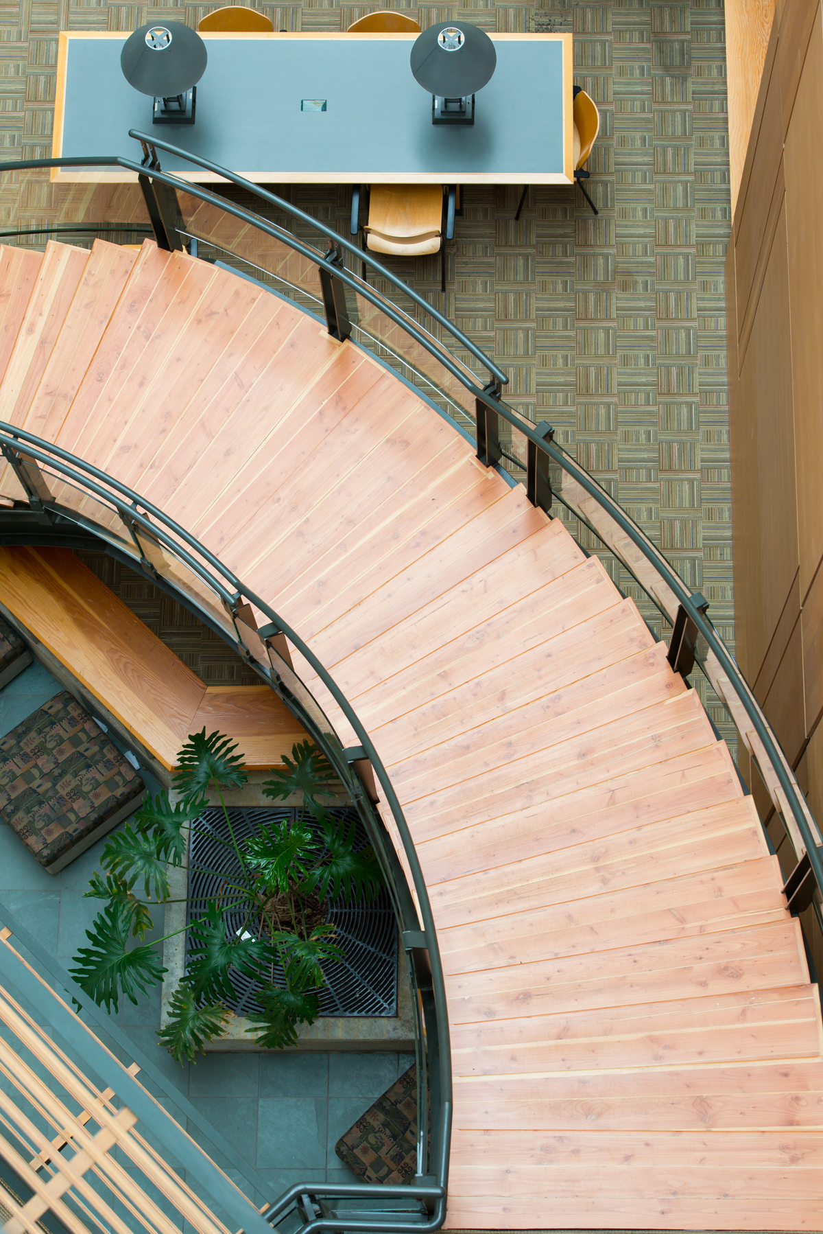 在UBC森林科学中心主中庭的向下视图中，展示了一个大直径的圆形楼梯井，带有美丽的木质踏板