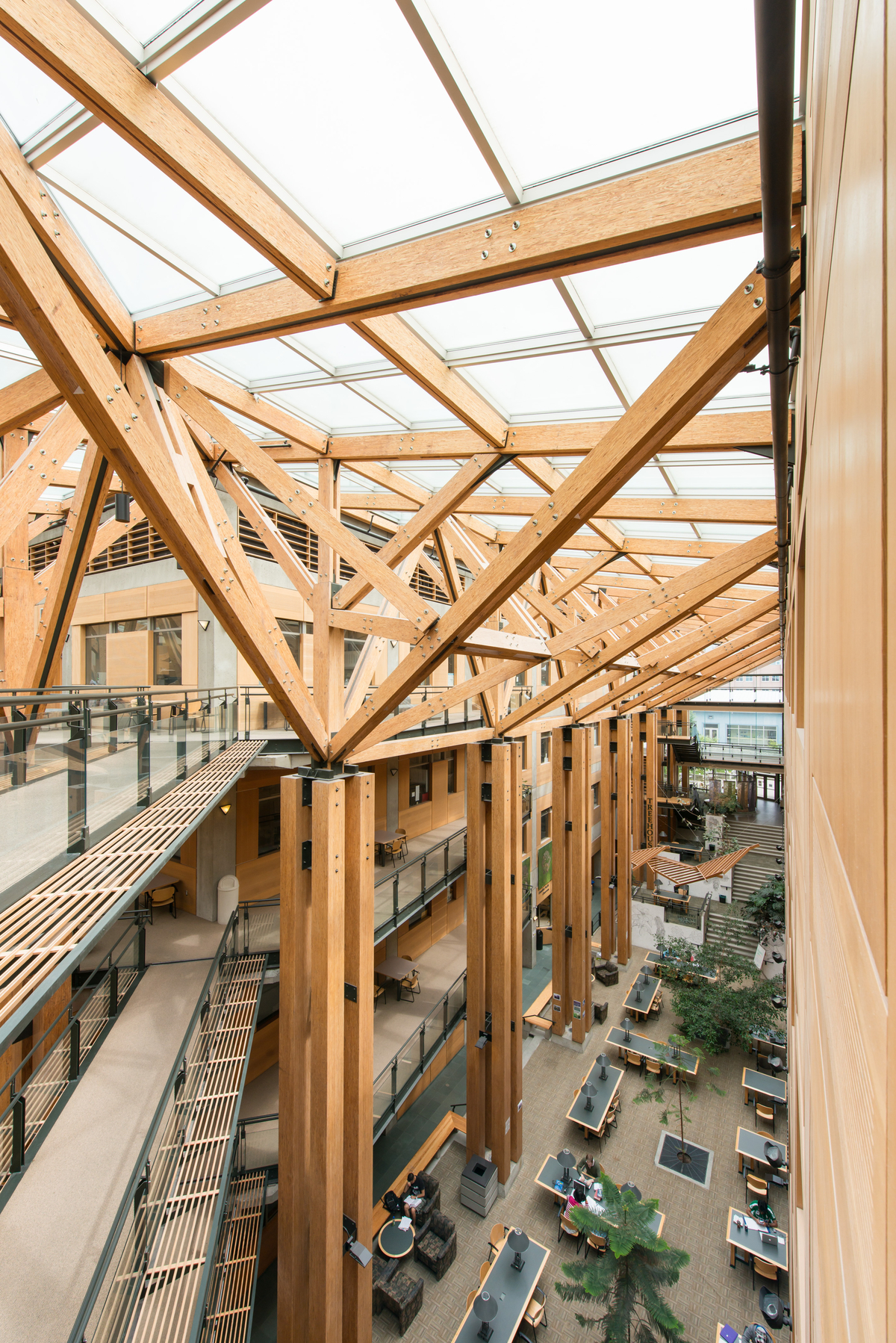 从步道往下看UBC森林科学中心多层中庭的室内白天景观，上面有大量木材和玻璃屋顶组成的复杂伞形支撑桁架