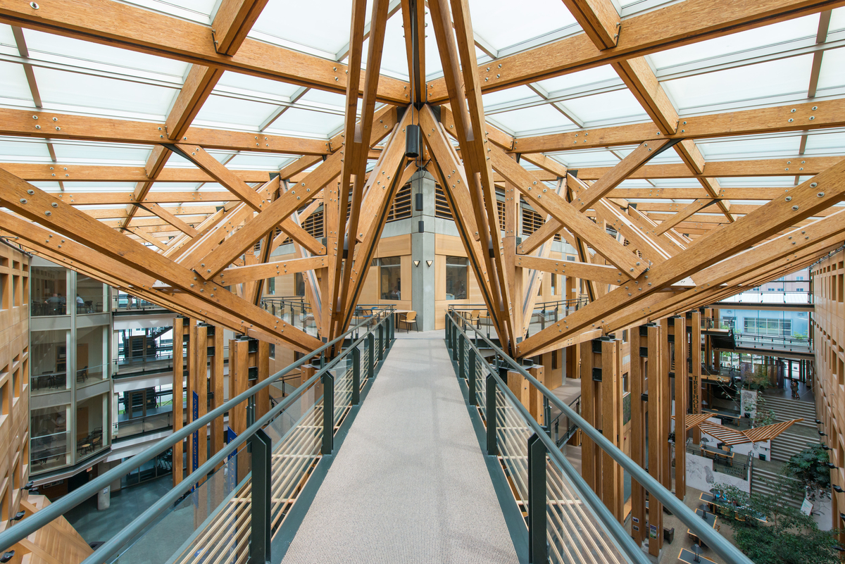 从步道往下看UBC森林科学中心多层中庭的室内白天景观，上面有大量木材和玻璃屋顶组成的复杂伞形支撑桁架