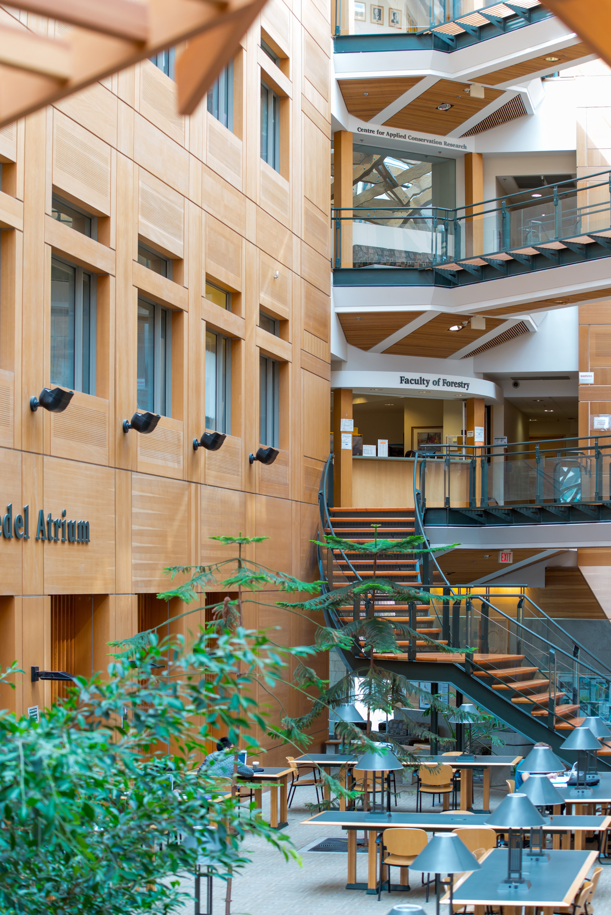多层大块木材和装饰木材，包括:墙板，楼梯台阶，平行绞线木材(PSL)柱，木材装饰和木制品展示在UBC森林科学中心主中庭的室内白天图像中