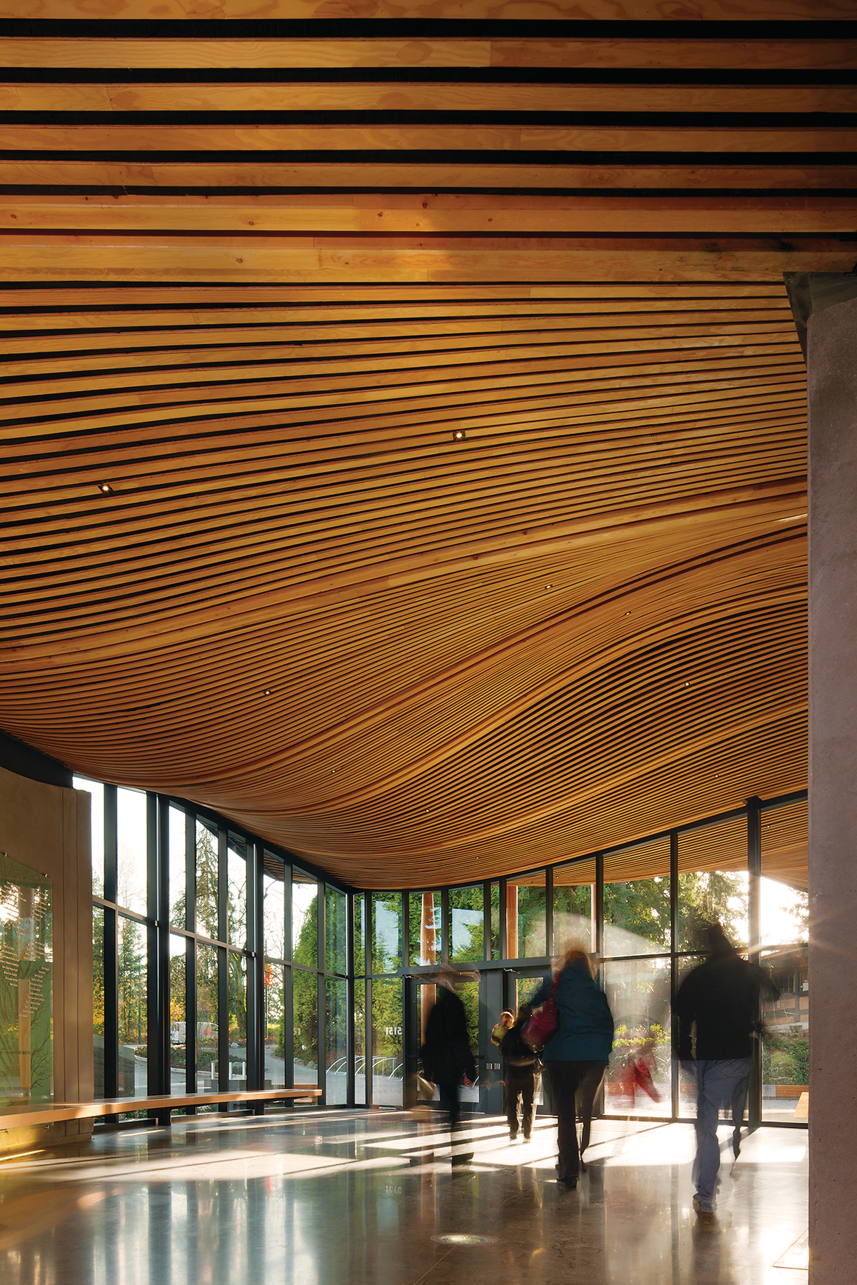 范登森植物园游客中心主入口的日间内部景观，由尺寸木材制成的起伏屋顶，外部玻璃和木长椅