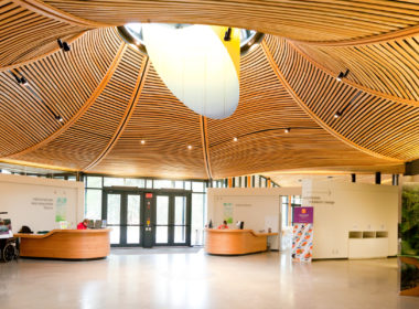 VanDusen植物园游客中心大厅的低层室内景观，以倒立花朵的形式预制木制天花板为特色